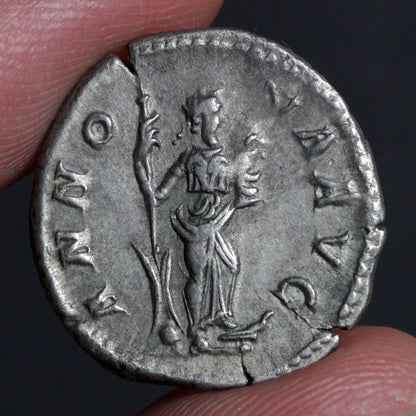 reverse side of severus alexander denarius