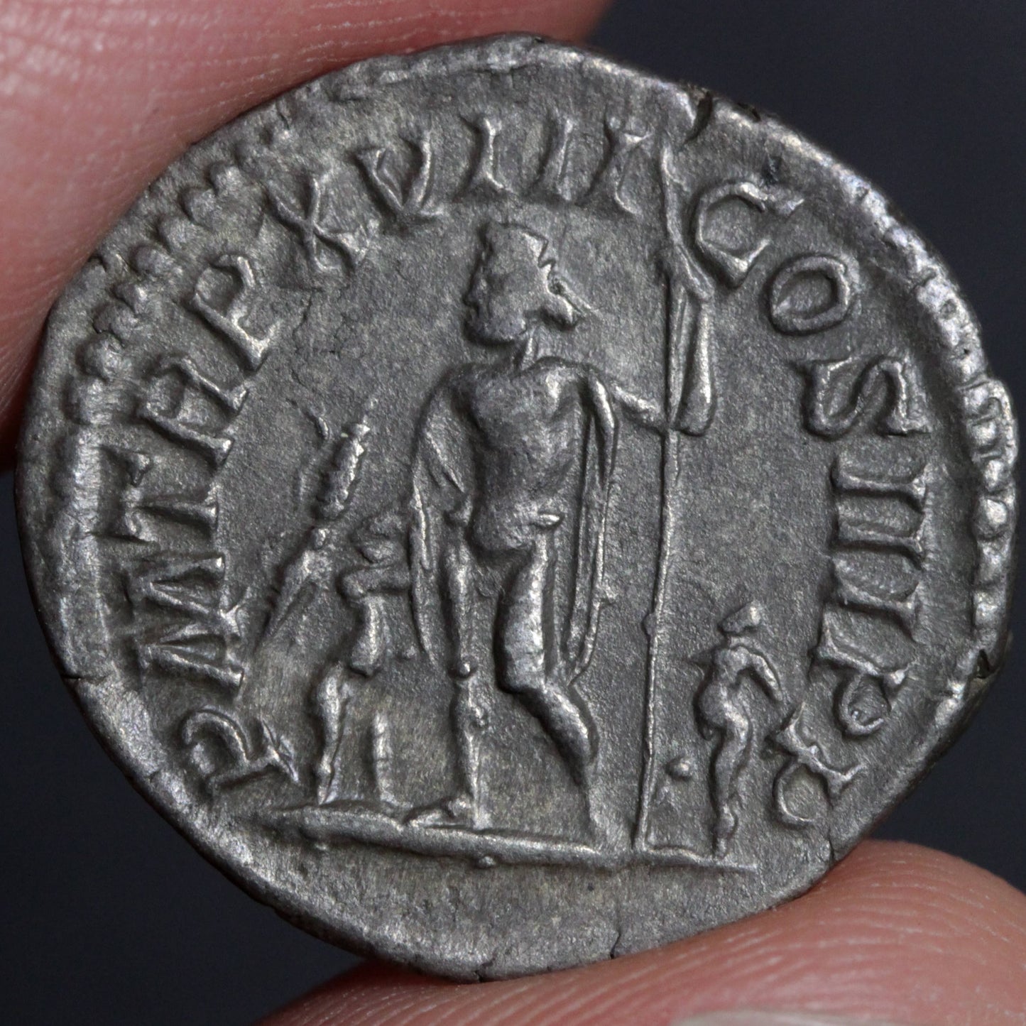 septimius severus denarius reverse