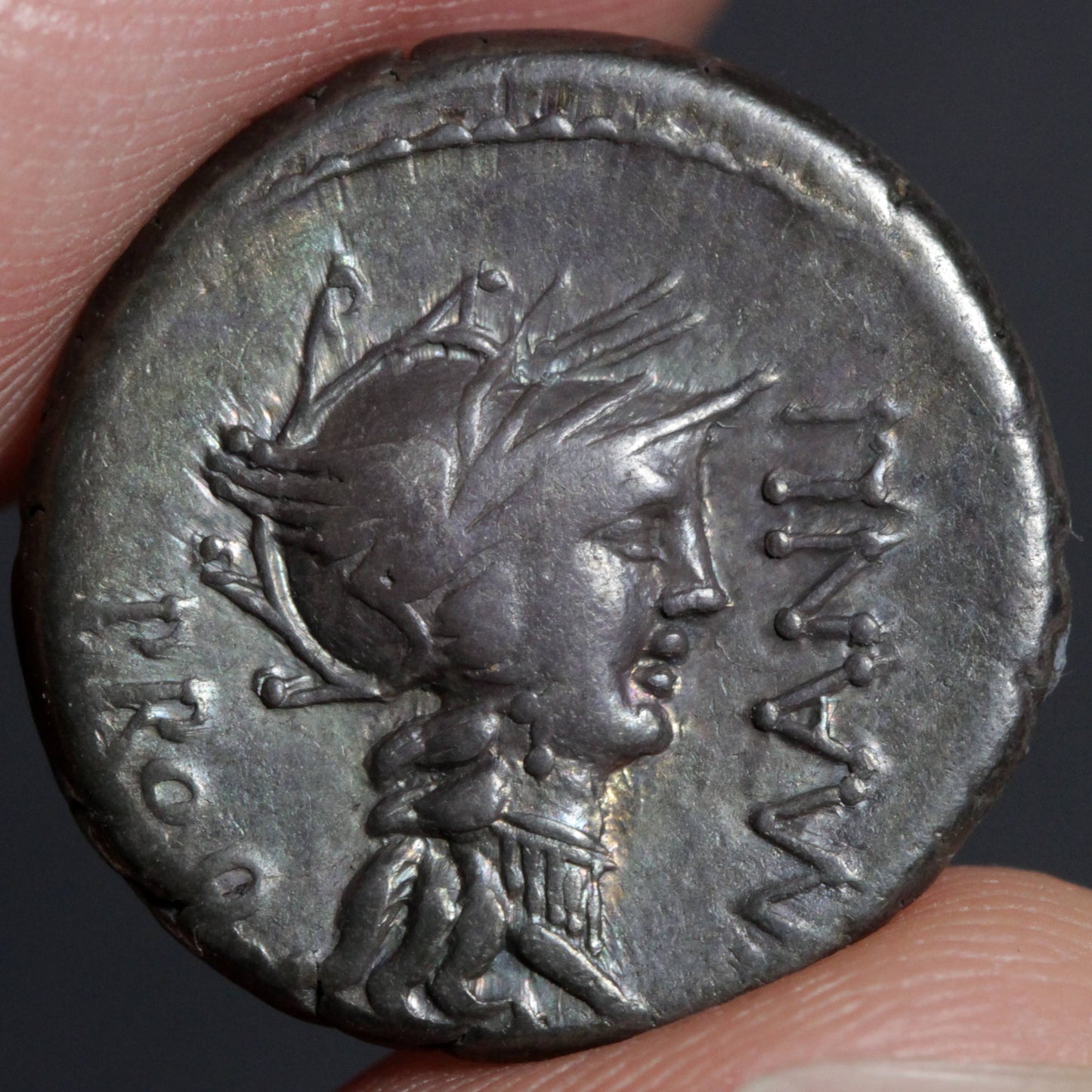 obverse side of the Sulla denarius