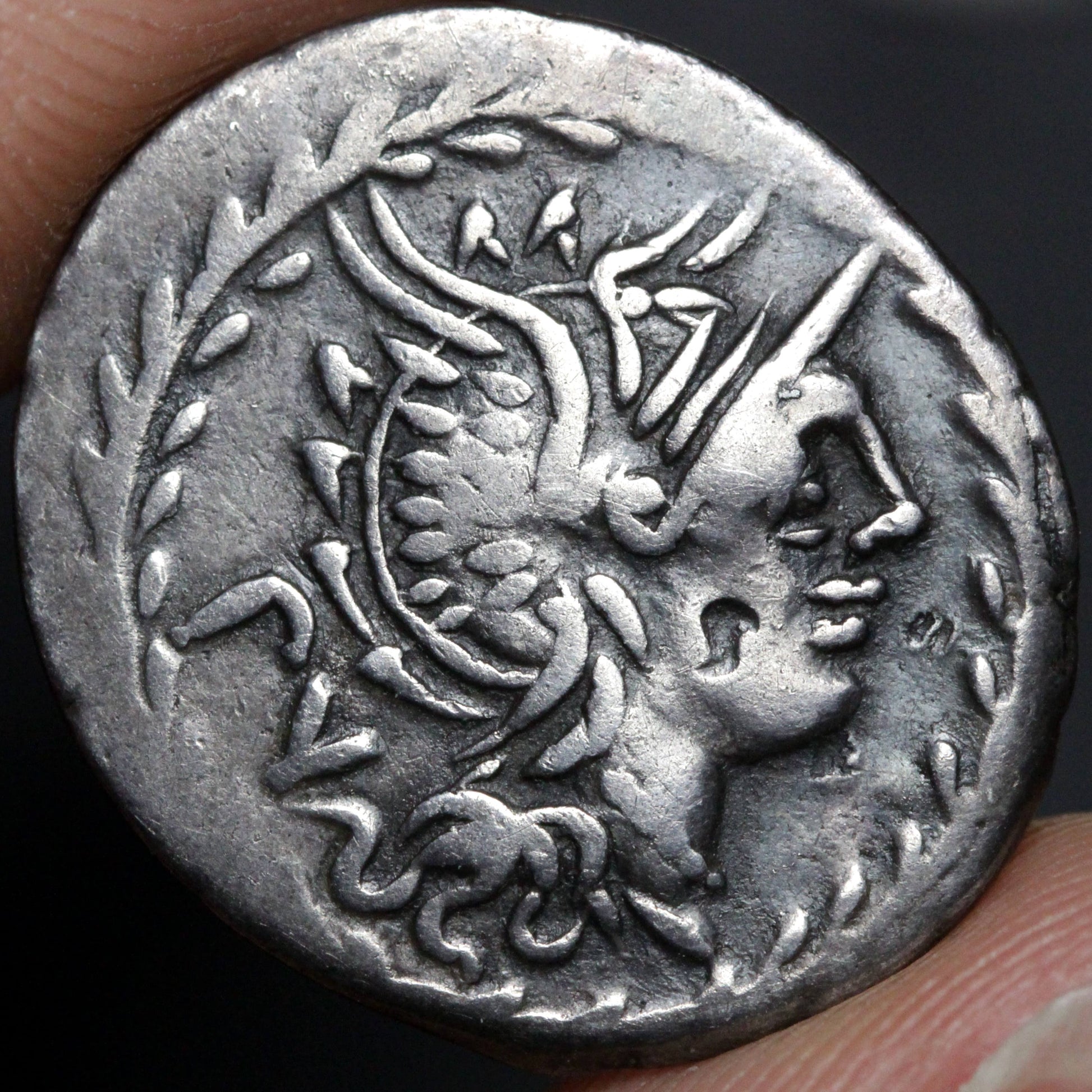 lucilius rufus denarius obverse