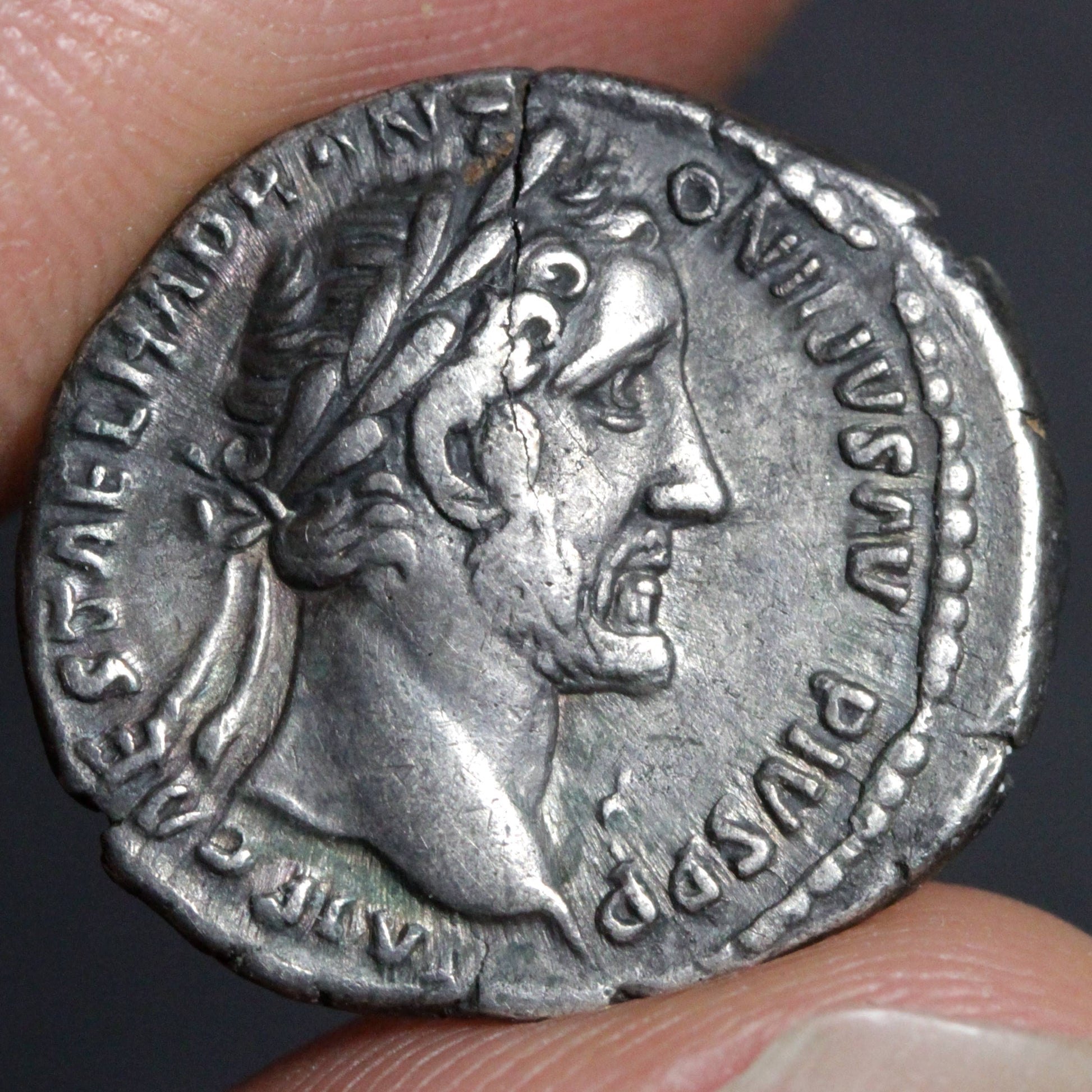 antoninus pius denarius obverse