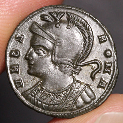 constantine follis roma head