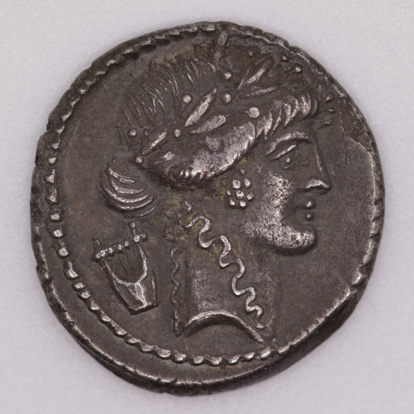 Clodius Roman Republic Silver Denarius | Apollo Portrait | Toned